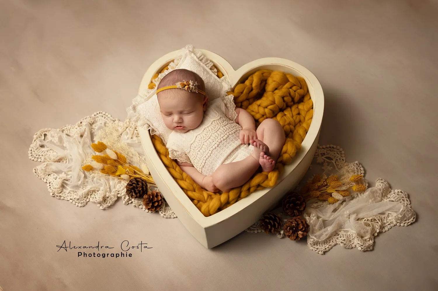 photographe geveze