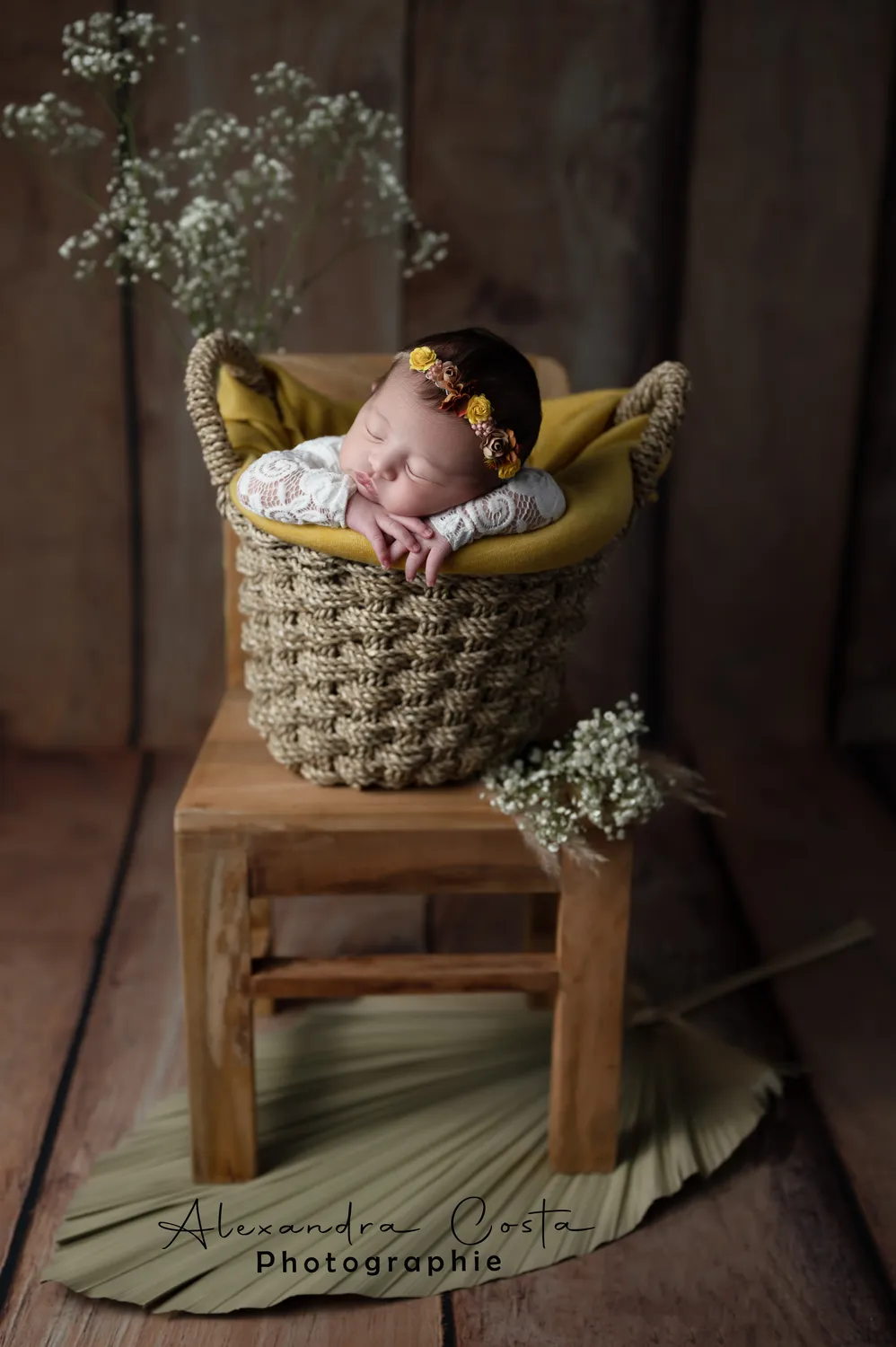 photographe naissance saint meen le grand